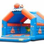 Clownvis-Super-Springkussen-1.jpg