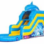 Dolfijn-Waterglijbaan-Springkussen-1.jpg