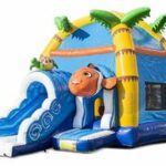 Maxifun20super20clownvis2028129.jpg