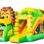 Mini-Multiplay-Lion-2.jpg