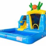Mini-Splash-Bounce-Seaworld-springkussen-1.jpg