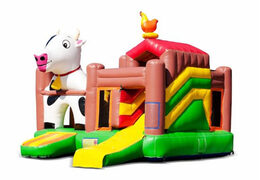 Castillo Hinchable de Multiplay Granja