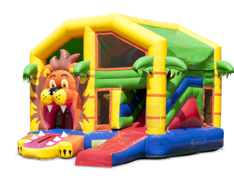 Multiplay-Leeuw overdekt-1-masquehinchables-venta-de-hinchables-barcelona-españa