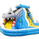Splashy20haai.jpg