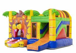 Castillo Hinchable de Multiplay León