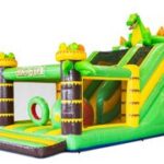 multi-slide-dino2-2.jpg