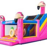 multi-slide-flamingo-2.jpg